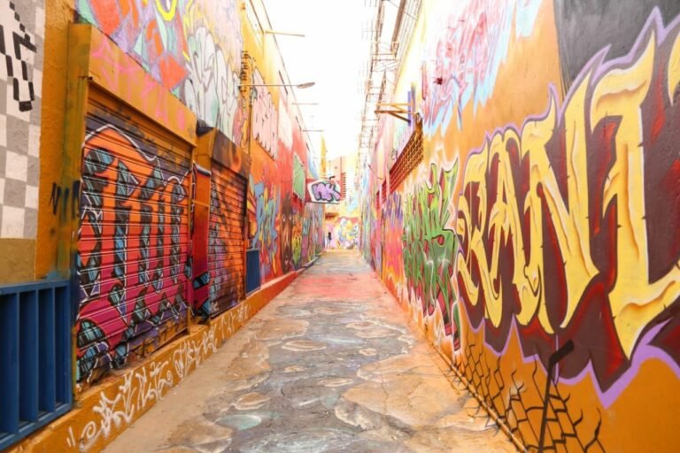 Arte urbana no Beco da Codorna em Goiânia
