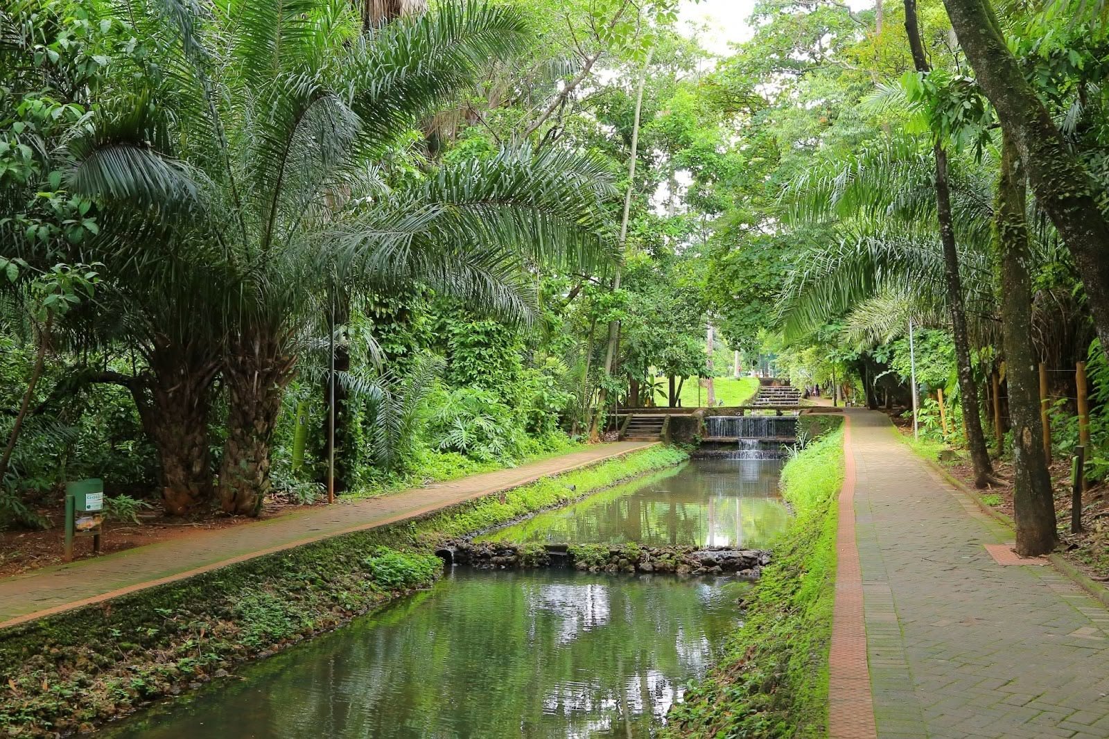 Bosque dos Buritis em Goiânia para ensaio pré-wedding