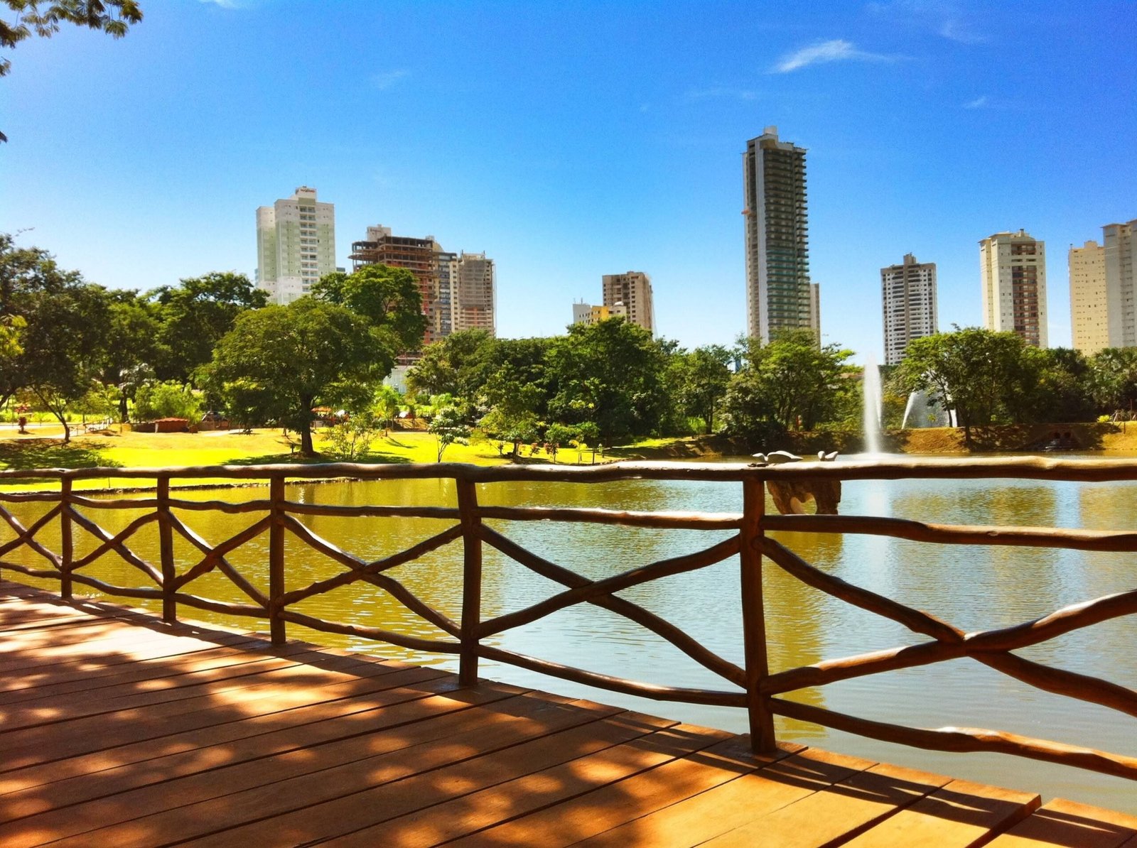 Área verde do Parque Flamboyant em Goiânia